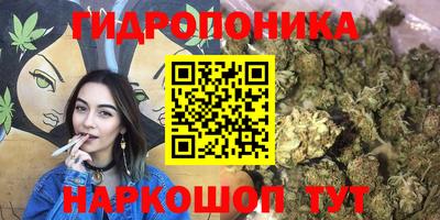 крисы Краснокаменск
